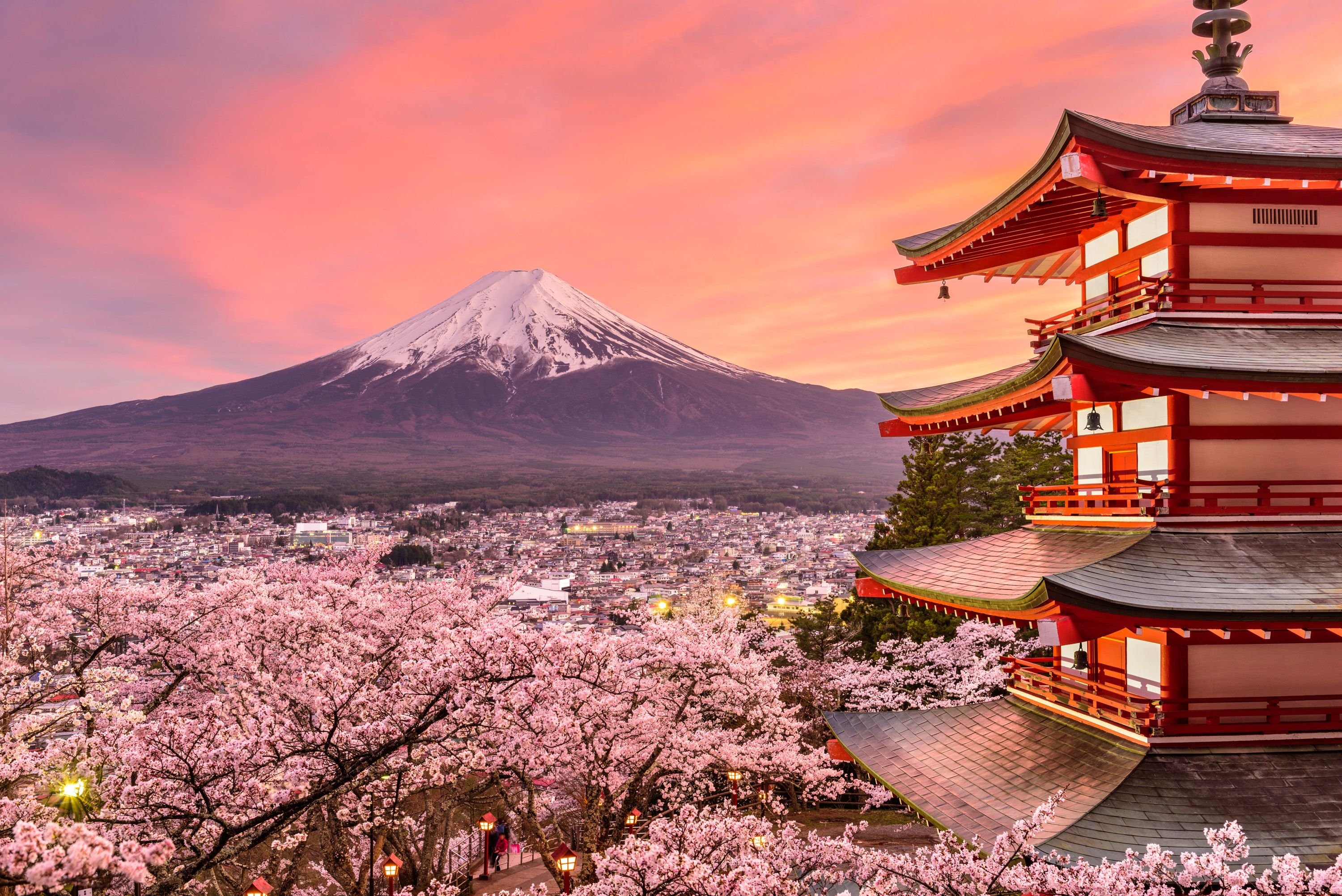 Japanese Cherry Blossom Season Promotion
